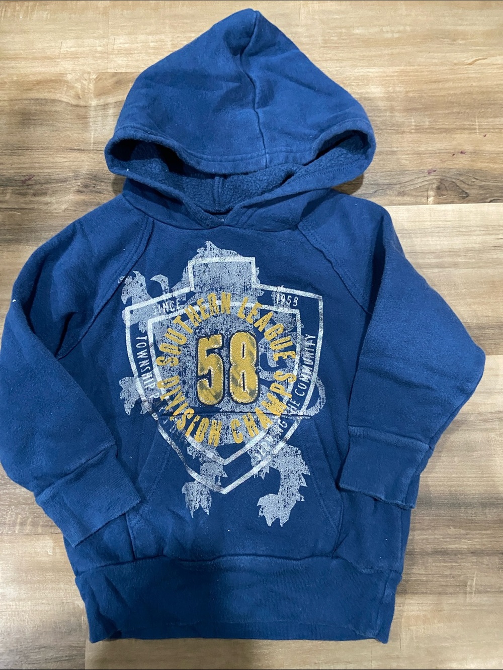Kids Navy Hooded Sweatshirt with Graphic 58